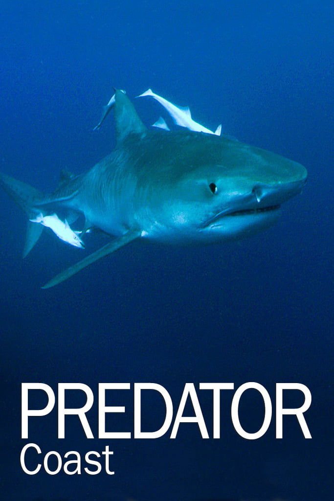 Постер Predator Coast